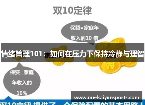 情绪管理101:如何在压力下保持冷静与理智 情绪管理101:如何在压力下保持冷静与理智